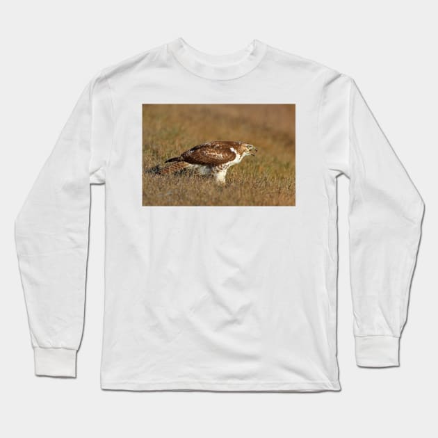 Red-tailed Hawk - juvenile Long Sleeve T-Shirt by Jim Cumming